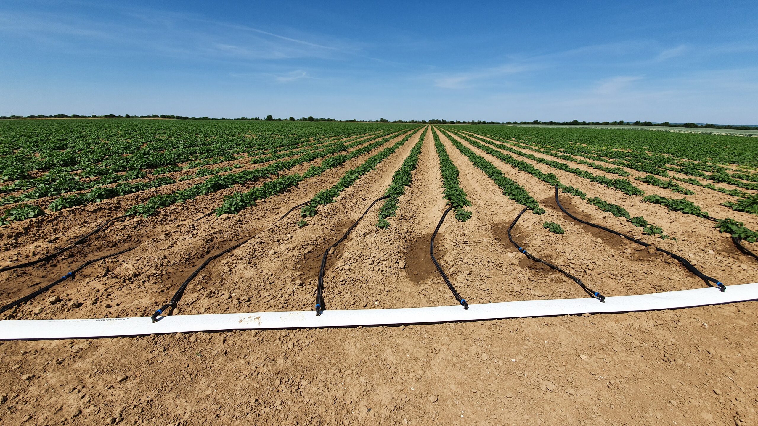 Precision Irrigation of Potatoes, the Solution of the Future
