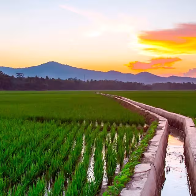 The 26th International Congress on Irrigation and Drainage will be hold in Marseille, France