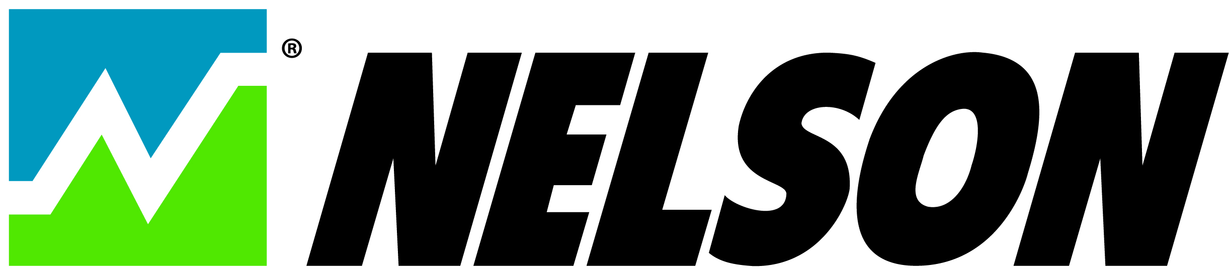 Nelson NIC