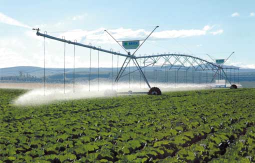 Central Irrigation Pivot