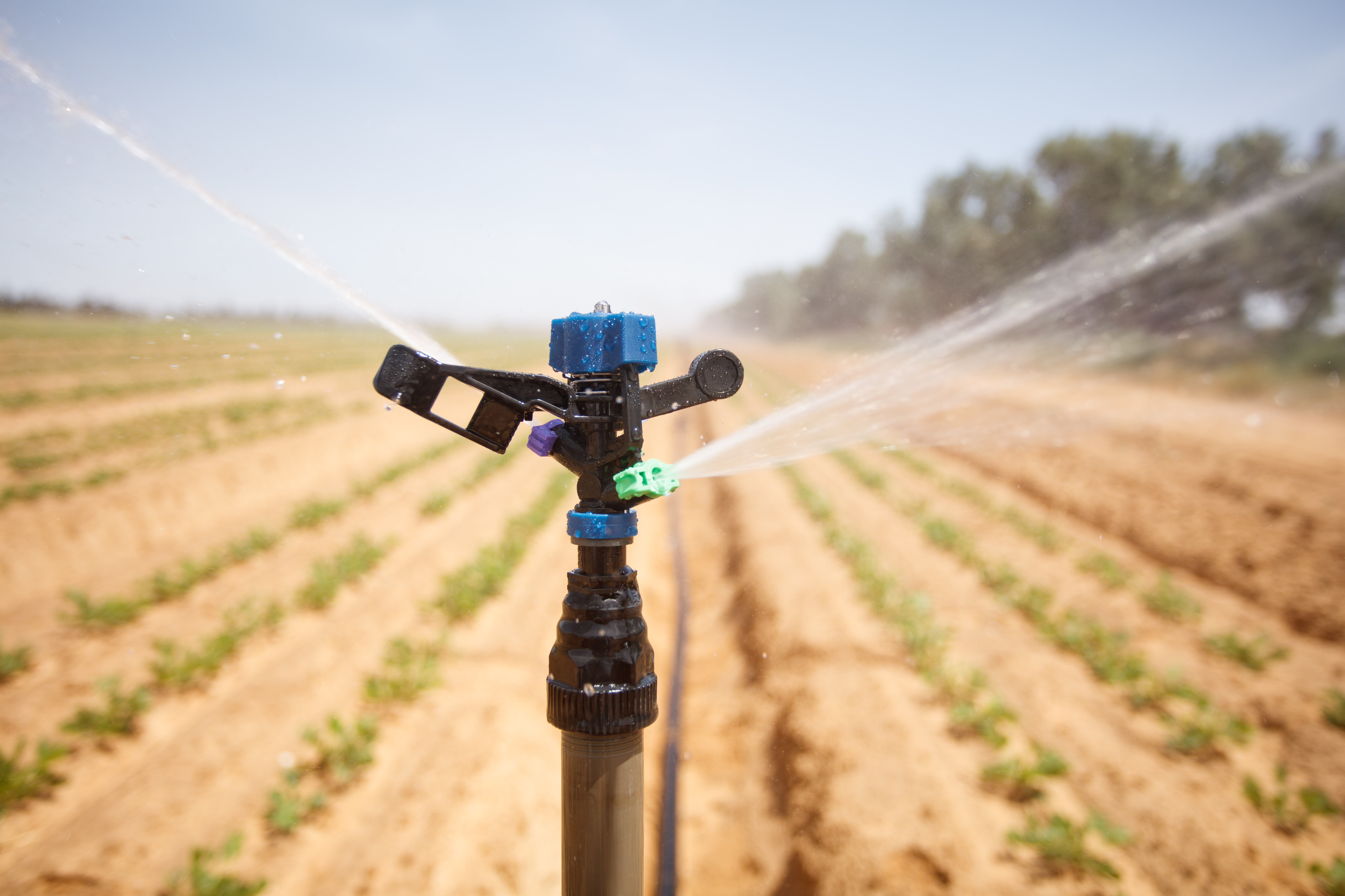Localised irrigation or sprinkler irrigation : How to choose on the basis of agronomic criteria?