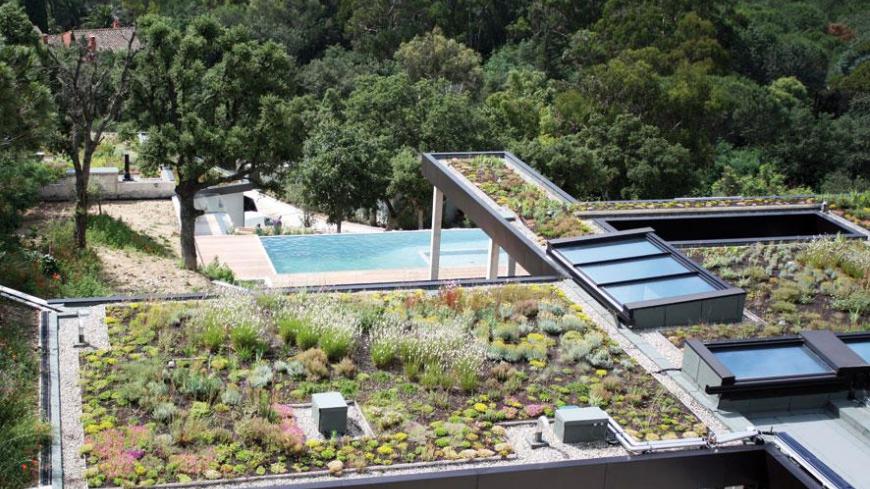 A garden on the roof